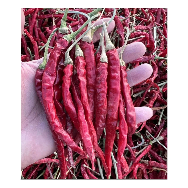 Оптовая продажа по лучшей цене перец сушеный красный чили горячий стиль