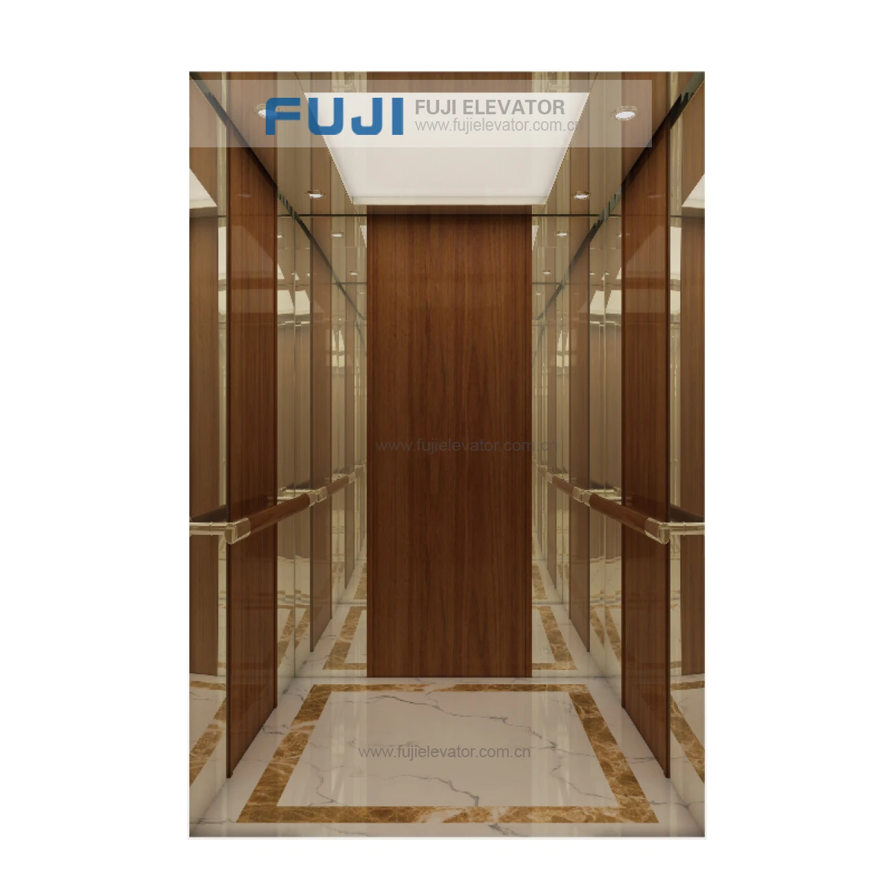 FUJI 4 человека пассажирский лифт жилой размер
