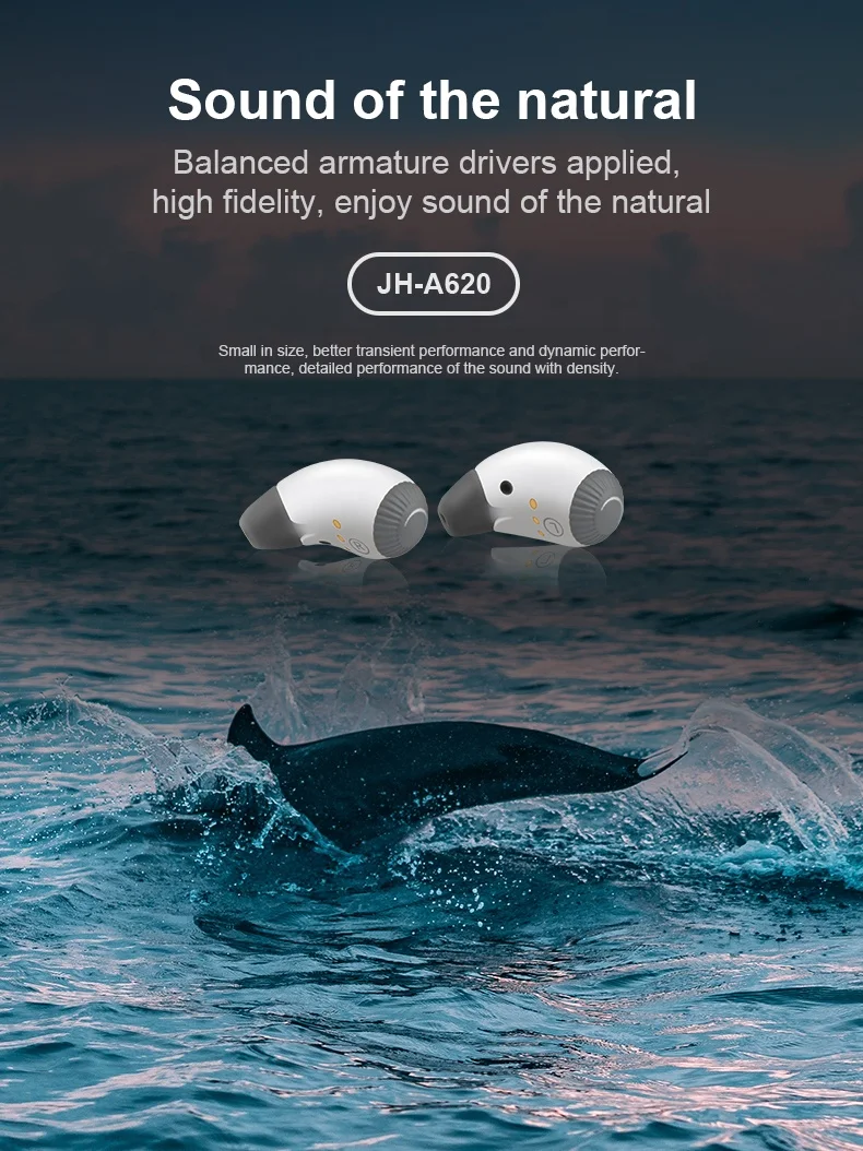 Dual Invisible Hearing Devices Deafness Hearing Aids Wholesale With Rechargeable Box