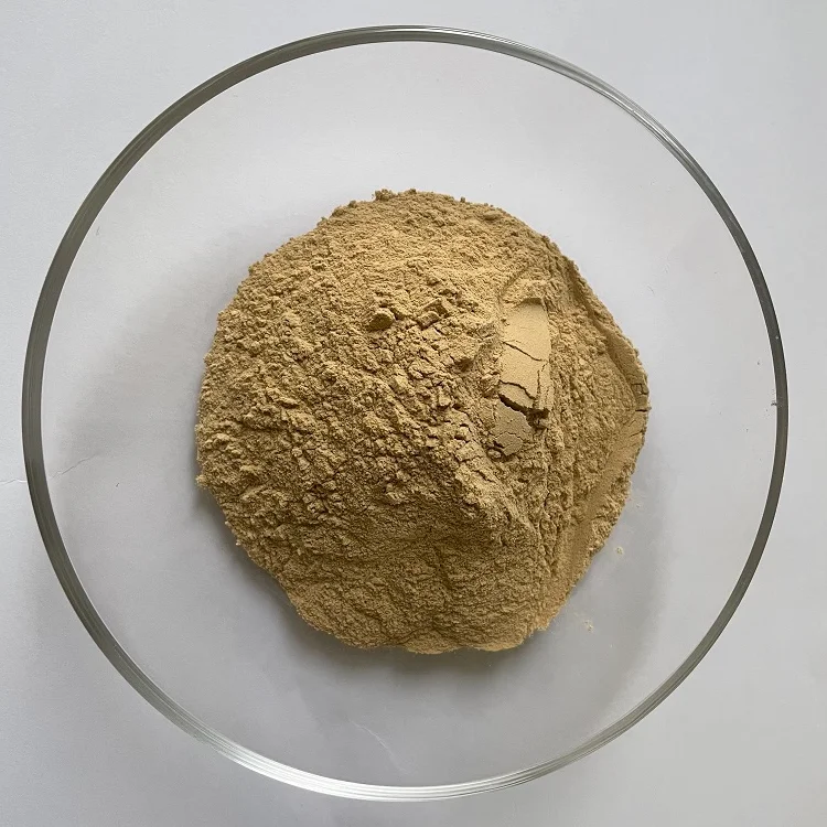 Cheap Price High Quality Rhizoma Picrorhizae Extract Powder 20:1 Coptis Extract
