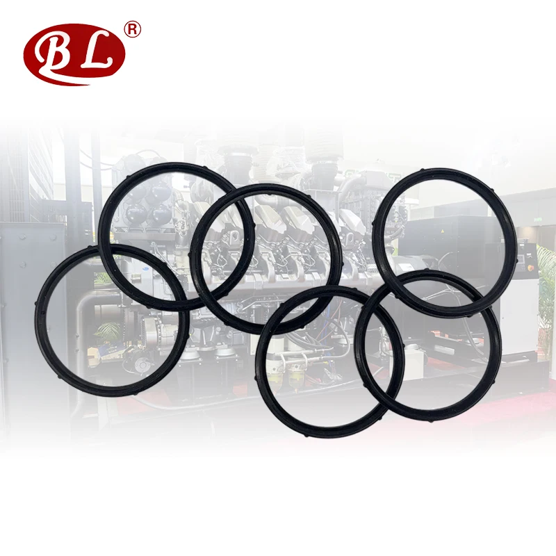 Repair kit for toothed rubber ring