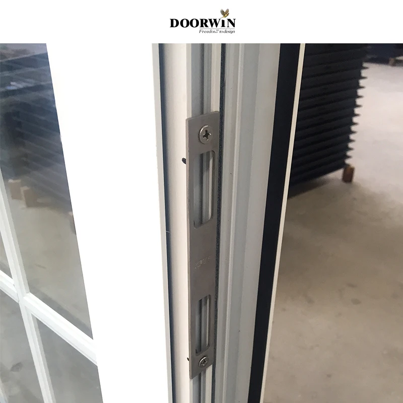 Doorwin Modern Virginia thermal break aluminum vertical sliding hollow glass dust proof awning windows