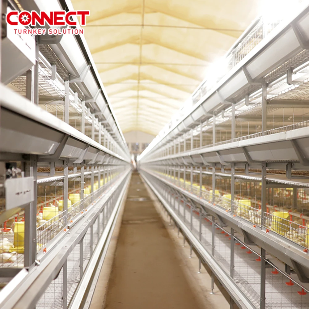 Poultry Cage Equipment 6 Tiers Chicken Farming Chicken Cage Extra Large Metal For Chicken Used