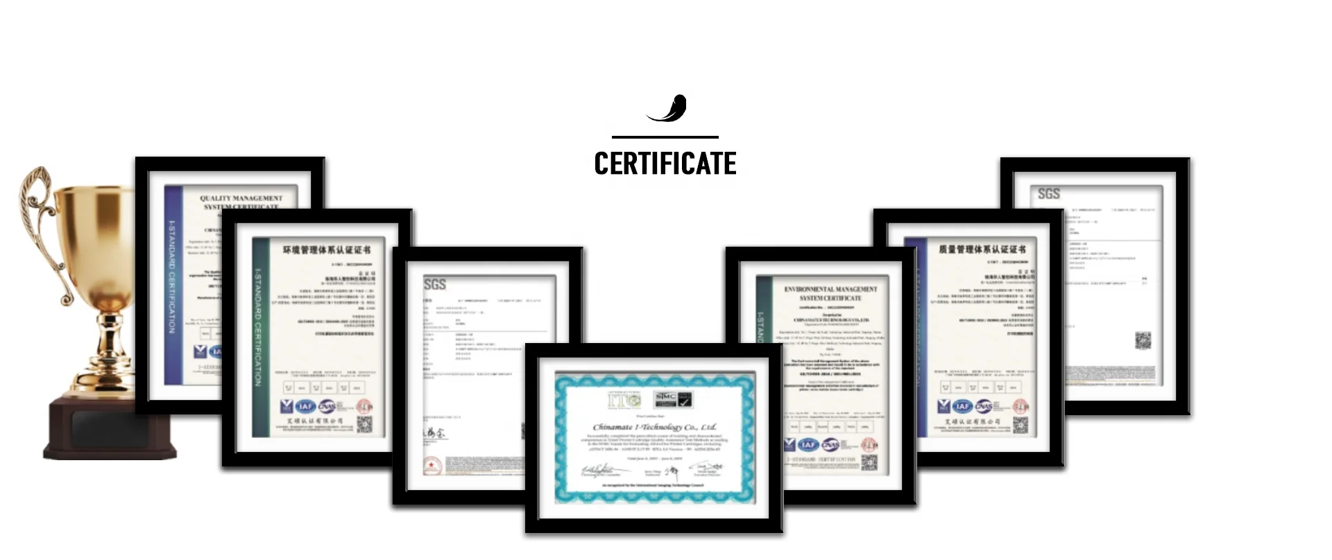 Certificate.jpg