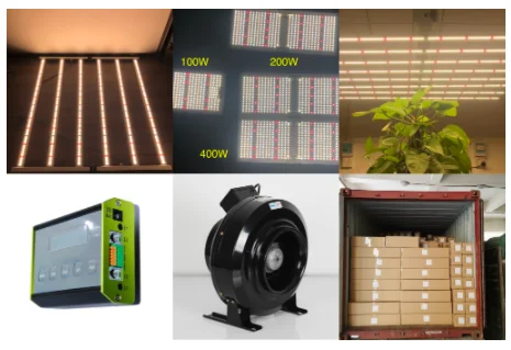 Indoor Complete Hydroponics Grow Tent 80x80x160cm Dark Room Grow Tent For Plants Growing