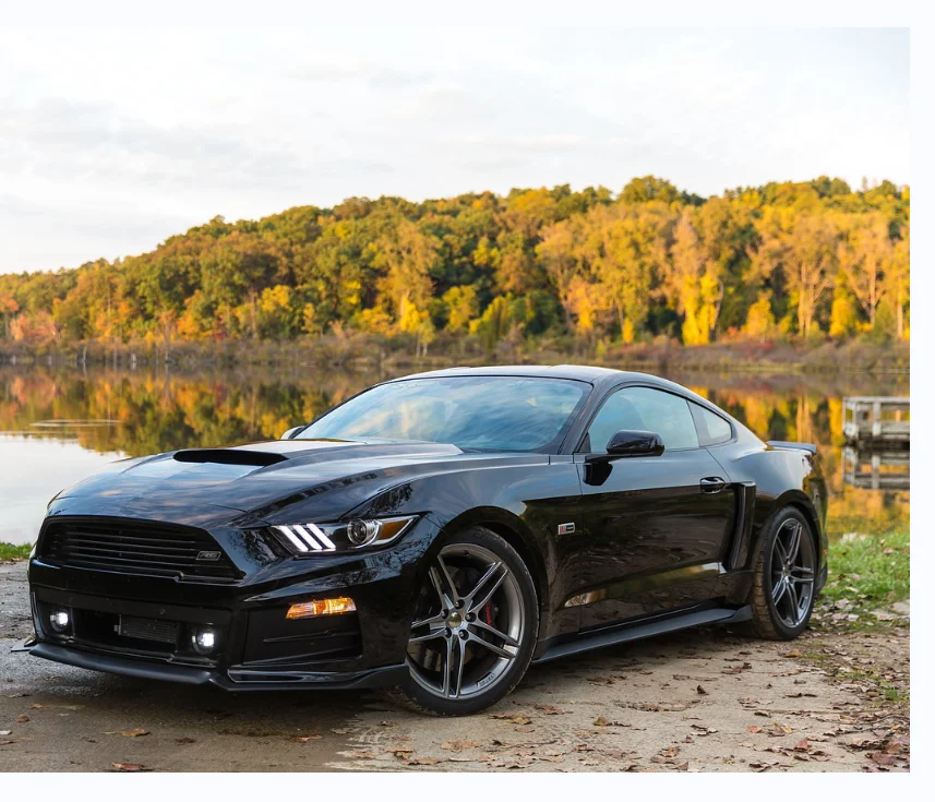 Стальная автозапчасть Oem Fr3z6320125a Fr3z6320124a для передней двери Ford Mustang