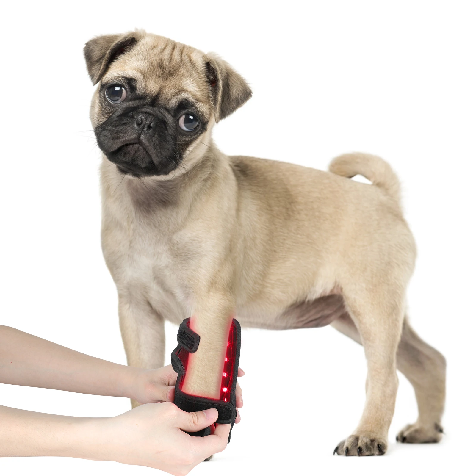 Factory Direct custom Led Light dogleg Belt infrared red light therapy for pets cat and dog pain