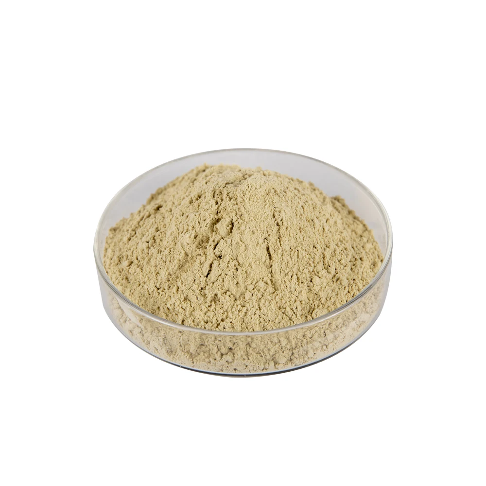 High quality metal casting steel casting applicant pregelatinized tapioca starch pellet binder