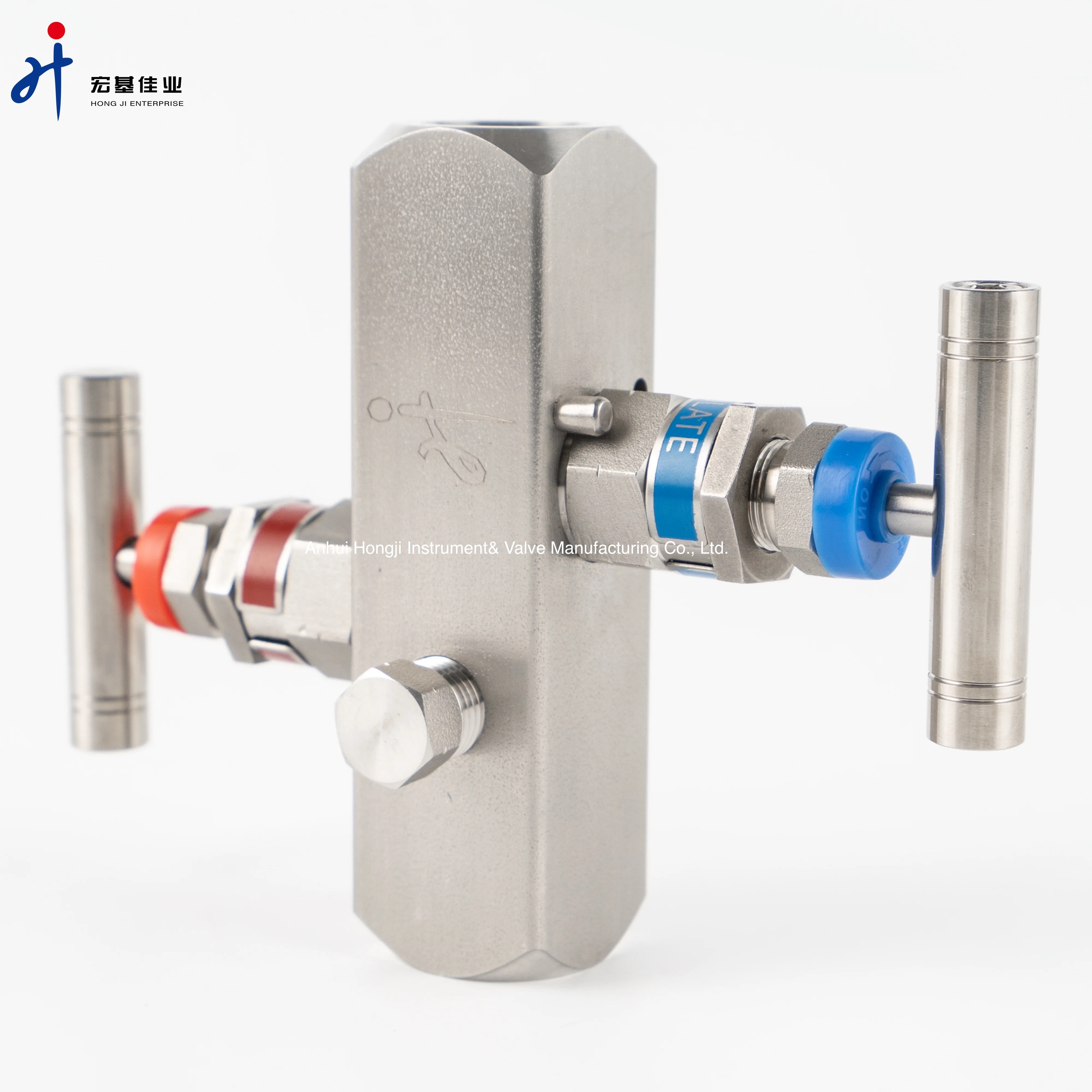 Stainless Steel Manifolds Female to Female Thread 2 Way Valve Manifold for Pressure Instrument