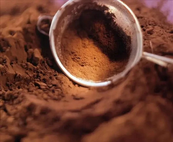 Fast Delivery Alkalized West African Cocoa Powder Food Sweet Pastey Dutch Processed Beans Bulk Packaged Cocoa Mass Cacao Butter