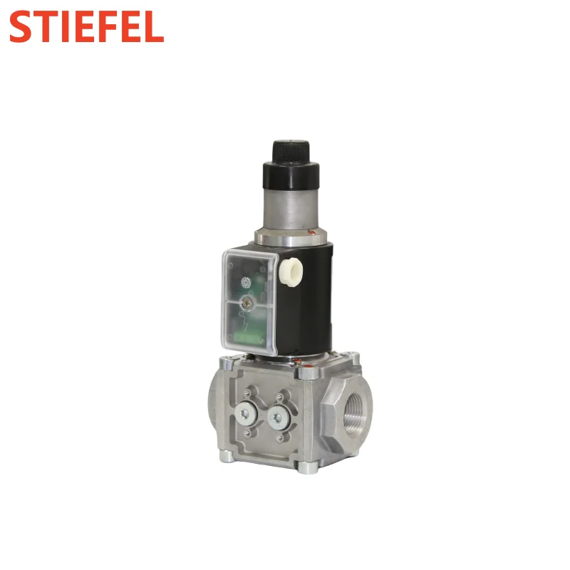 DEVSC shut off valve solenoid valve lpg gas for burner boiler parts  ignition gas valve