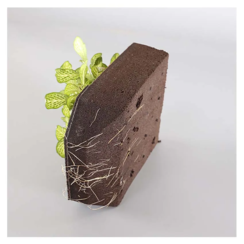 2020 New Indoor Eco-friendly Self Watering Plastic Wall Mounted Decor Flower Pot With Planting Sponge