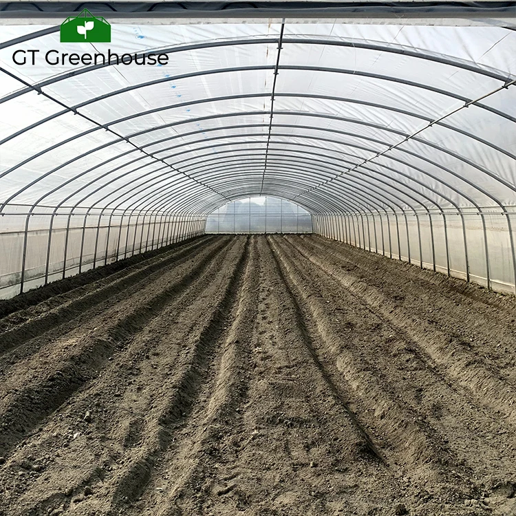 GT Outdoor Agriculture Commercial Plastic Film Tunnel Green House Metal Frame