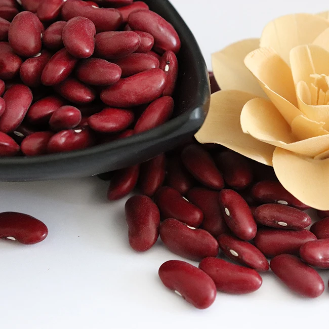 Hot Sell Borlotti Beans Good Tasted for Soup Organic Red Kidney Price With Dried Style