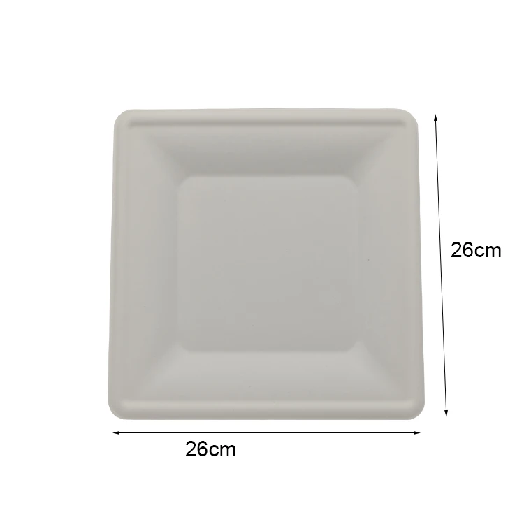 PFAS FREE 10 inch Bagasse Square Plate, Compostable biodegradable  10 inch  sugarcane fiber square plate