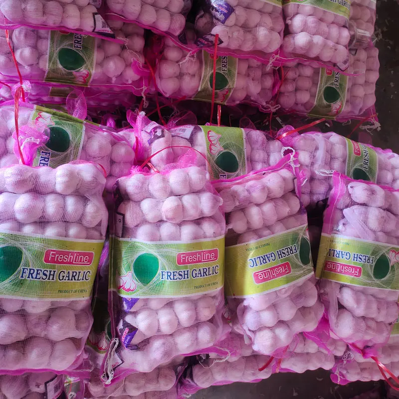 Chinese Fresh white Garlic 2023 garlic price trend and list