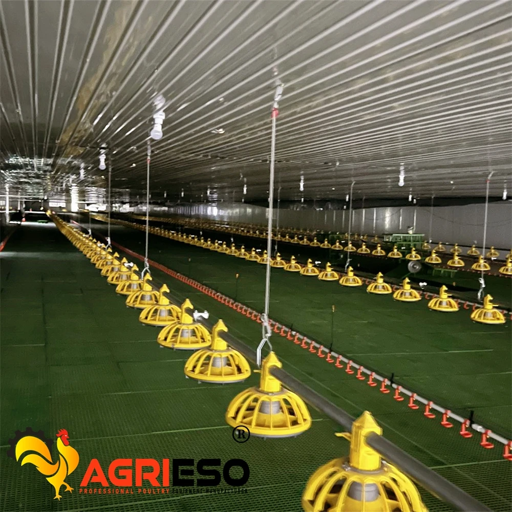 Agrieso Competitive Price Automatic Poultry Farming System Feeding Line Equipments For Broiler Layer Breeder Chicken Farm Use