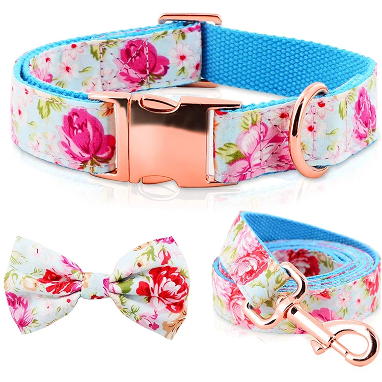 Custom Bow Tie Pet Collar and Leash for Dogs
