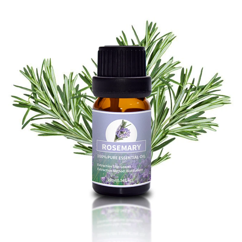 High Grade Organic Natural Aromatherapy Hair Growth 100% Pure Rosemary Essential Oil
