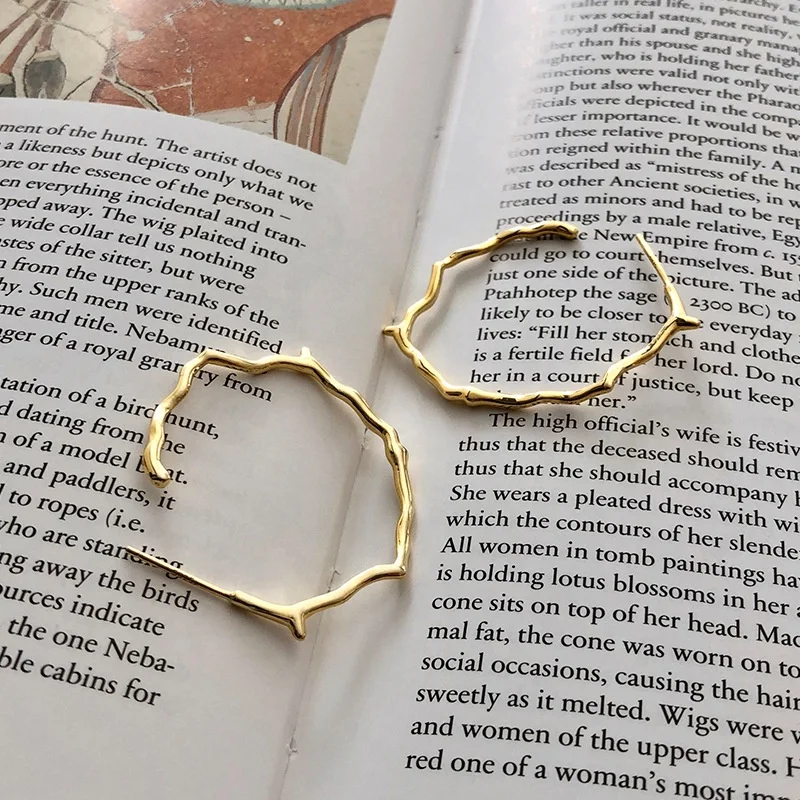 Vianrla 925 Sterling Silver 18k Gold Plated Hoop Earring with Special Shape