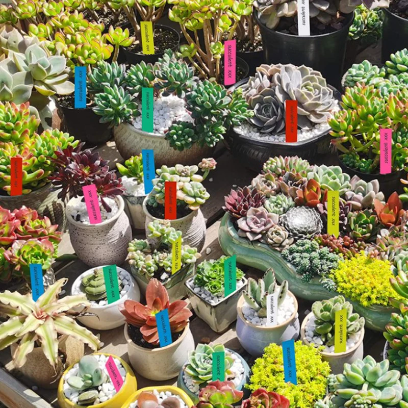 Wholesale different size plastic one font plant labels for garden plant