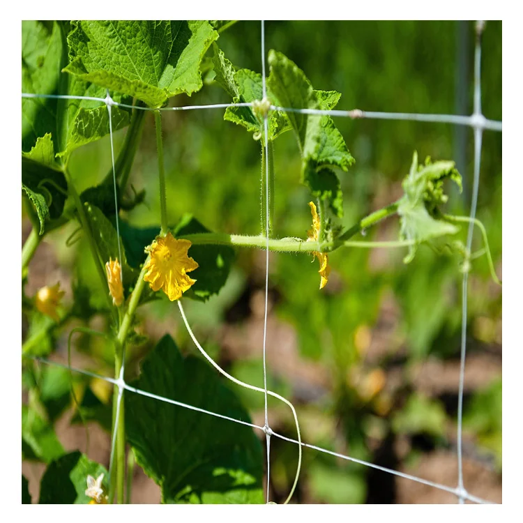 Cheap price extruded trellis net tobacco flower climbing netting jute trellis netting plant trellis climbing net