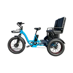 Large Capacity Tricycle 48V 19.2Ah Electric Cargo Bike 750W Rear Hub Motor 24Inch 3 Wheel Far Tire Trike electric tricycles