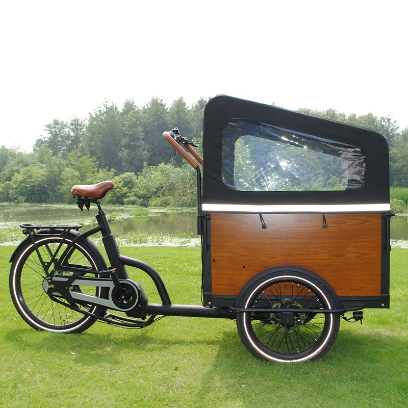 Hot Selling Cargo Tricycle Electric Bike Cargo 25KM/h Adult 3 Wheel Electric Bike Free Shipping