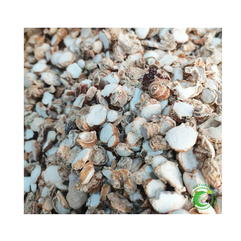 Cooking Herb Kaempferia Galanga Sliced