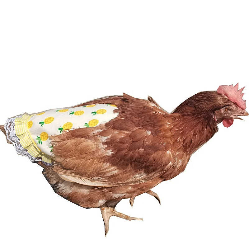 Pet Clothes Hen Apron Chicken Saddle Feather Fixed Clothes Back protection coat Double Chicken Apron