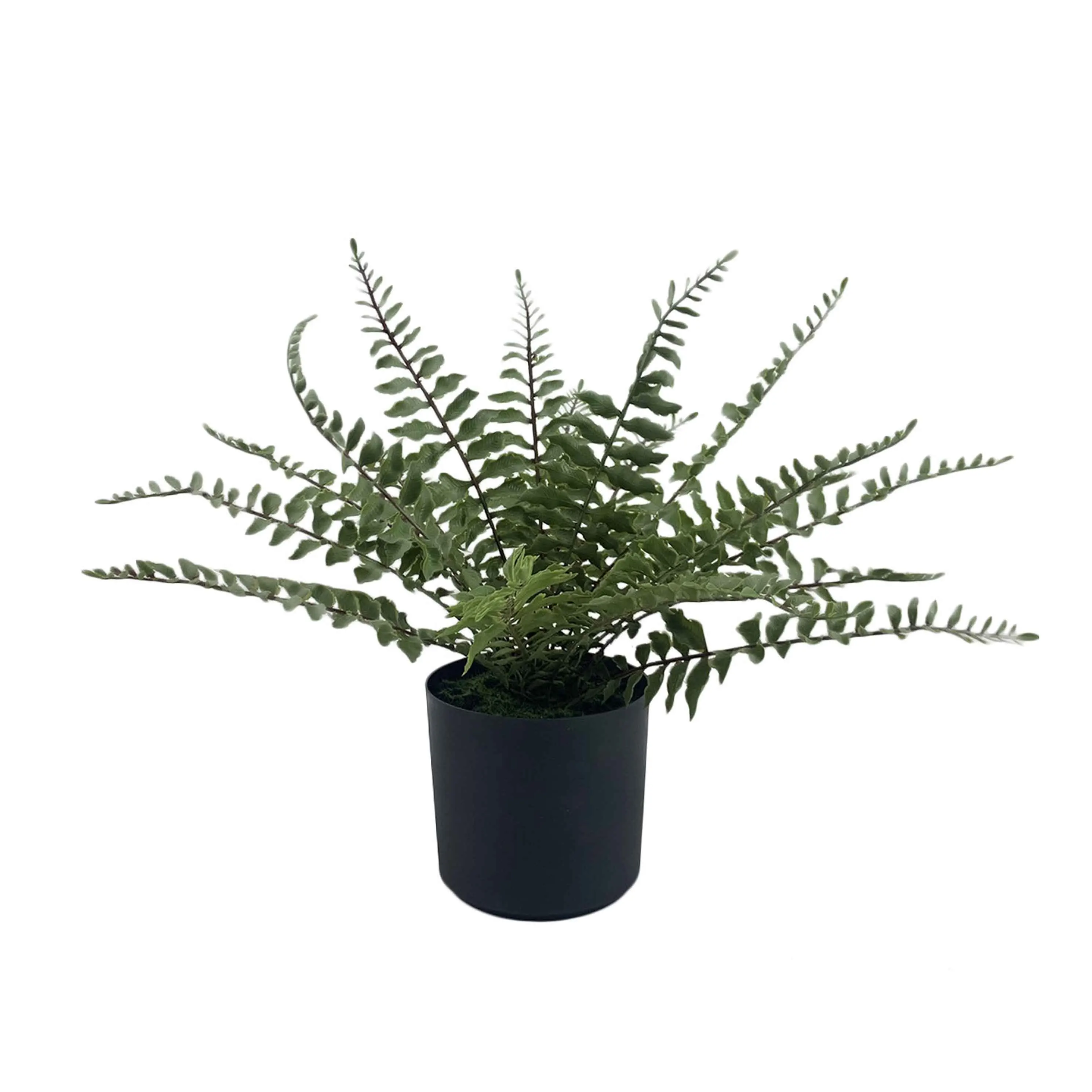 faux plant trees Outdoor Home Decoration Bonsai Foiliage Fern Wholesale high quality wedding party plastic faux greenery