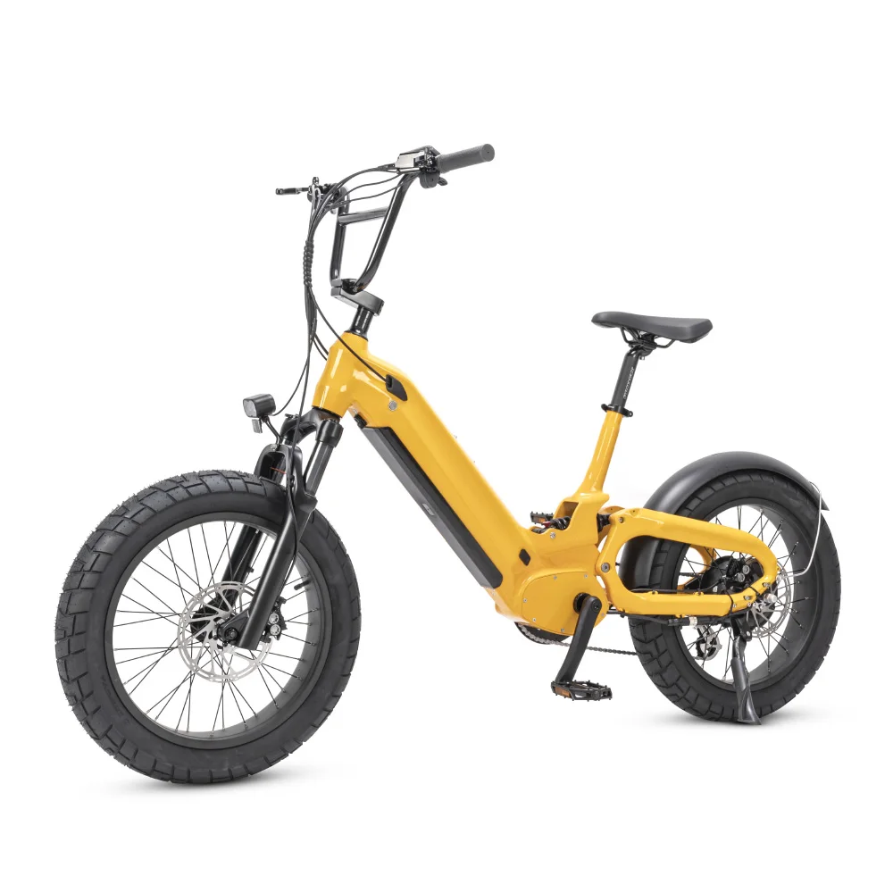2023 Mario New Bird Hub Motor 250W Fat Tire Electric City Bike