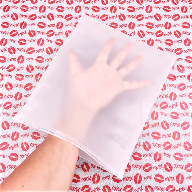 Frosted Plastic Ziplock Bag Underwear Package Clear Mini Zipper Sealing Bag Rectangle Zip Lock Bag With Logo Printing