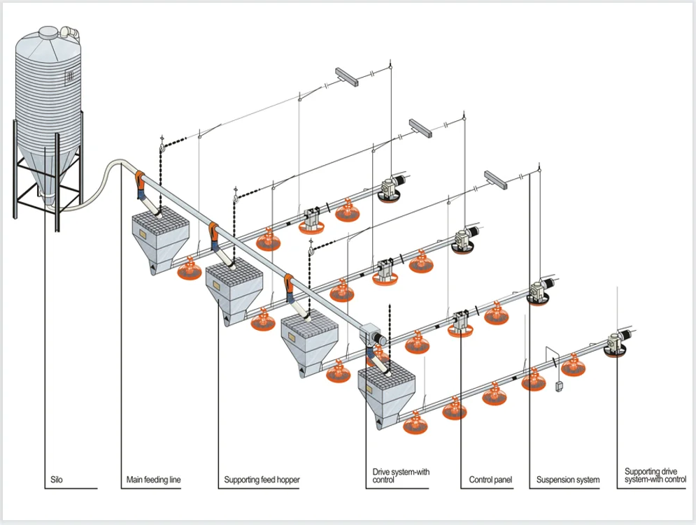 complete poultry project white broiler chicks rearing poultry farm equipment layer chicken
