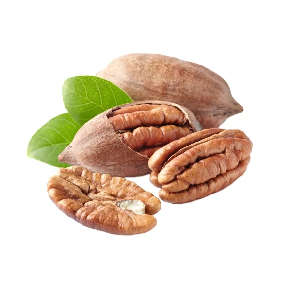 Pecan Nut Roasted Salted Pecans/Raw Nuts With Shell