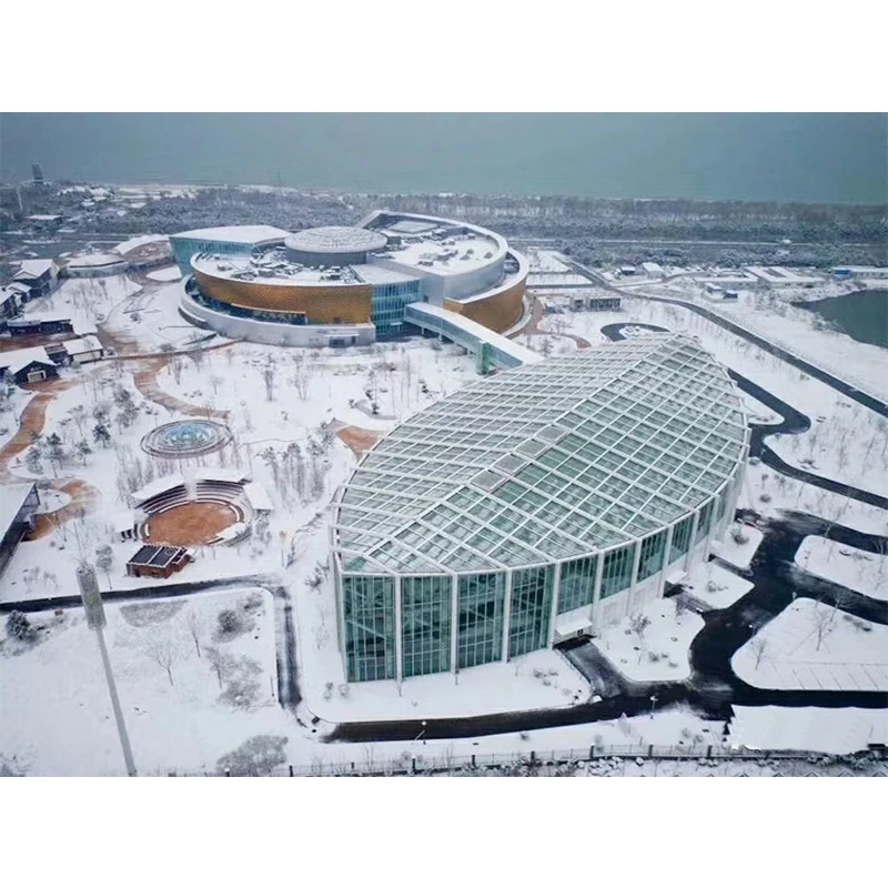 steel truss structure dome for sports ground stadium