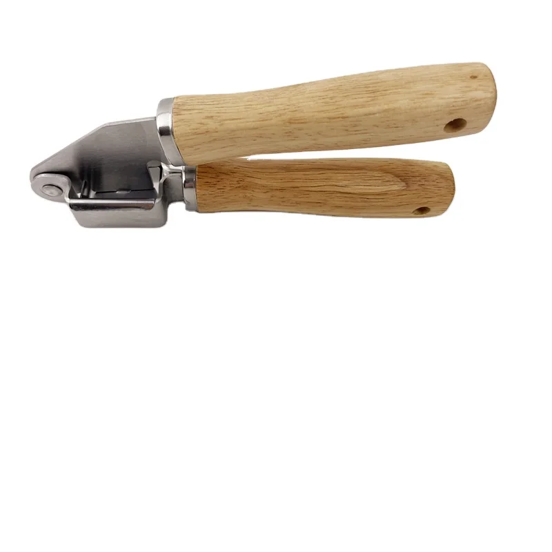 Professional Stainless Steel  kitchen gadget garlic press  for quadrate easy to handling for kitchen wooden handle garlic press