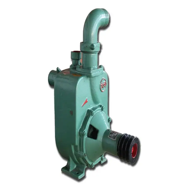 
Good Selling Pool Diesel Pump 