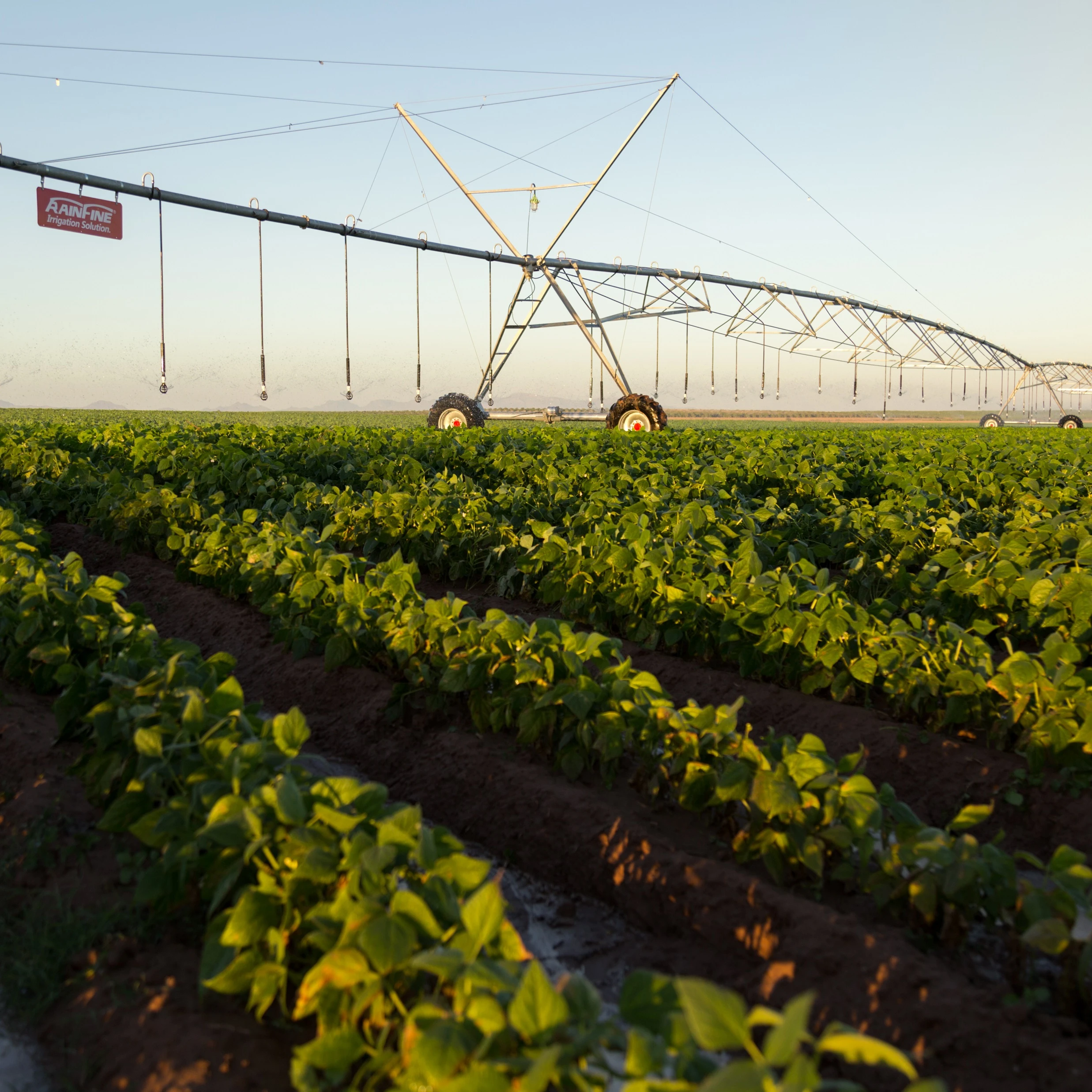 2022  Hot Sales Top Quality Center Pivot Irrigation System used for Alfalfa farm