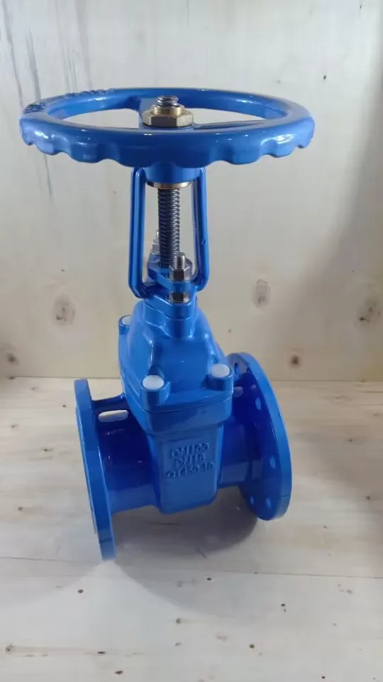 China Manufacturer DN50-DN300 Industrial Valve Cast Iron Ductile Iron Rubber Seal Flange Gate Valve