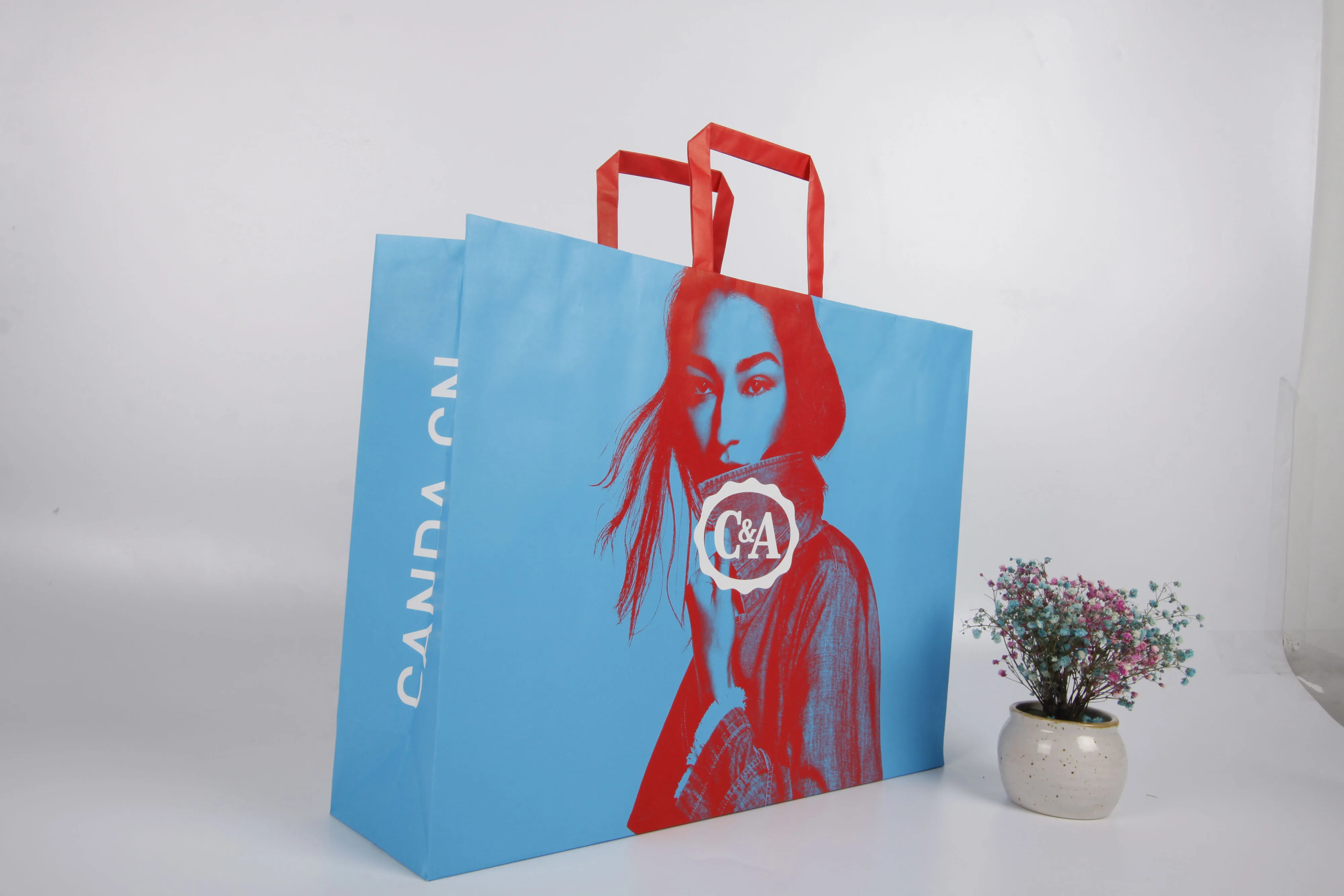 Promotional Paper Shopping Bags color Kraft Paper Carrier Bag price