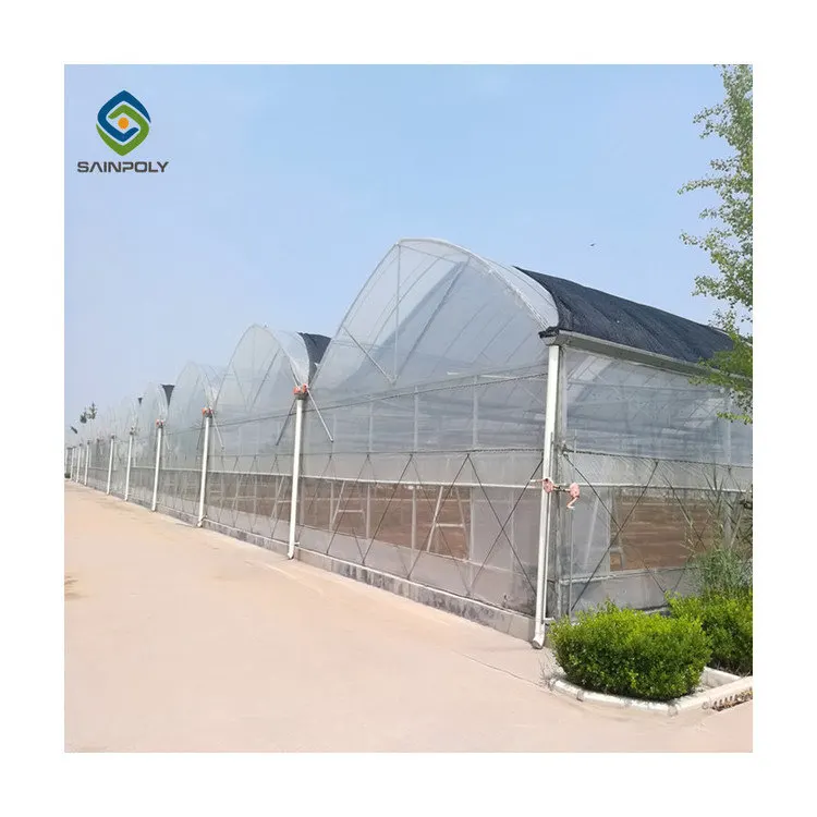 Сельское хозяйство, многопролетная АРКА, пластиковая пленка, теплица для томатов и клубничный парник, проект под ключ
