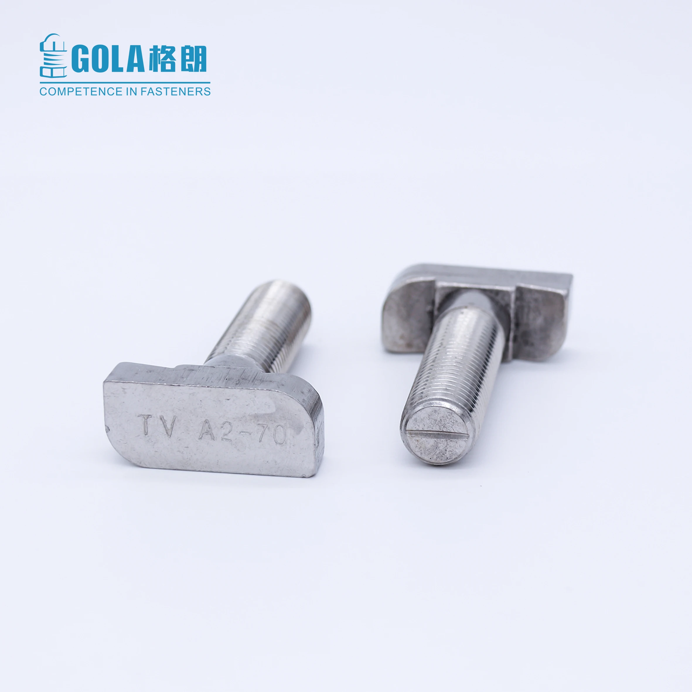 M6 M8 M10 M12 M24 Stainless Steel 316 Hammer Head T screw T bolt