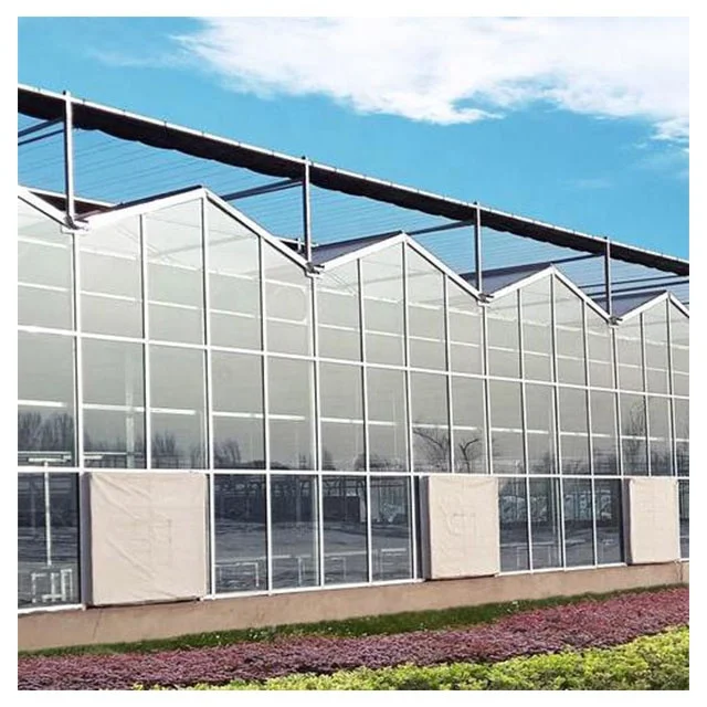 Wholesale Price Agricultural Glass Greenhouse Tomato Greenhouse with Hydroponics Growing System Indoor