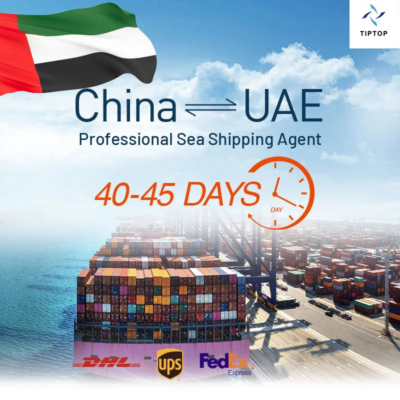 Fba Best Price Chinese Freight Forwarder Air Freight Logistics Forwarder Shipping To Canada / USA / UK / UAE / Spain / Germany