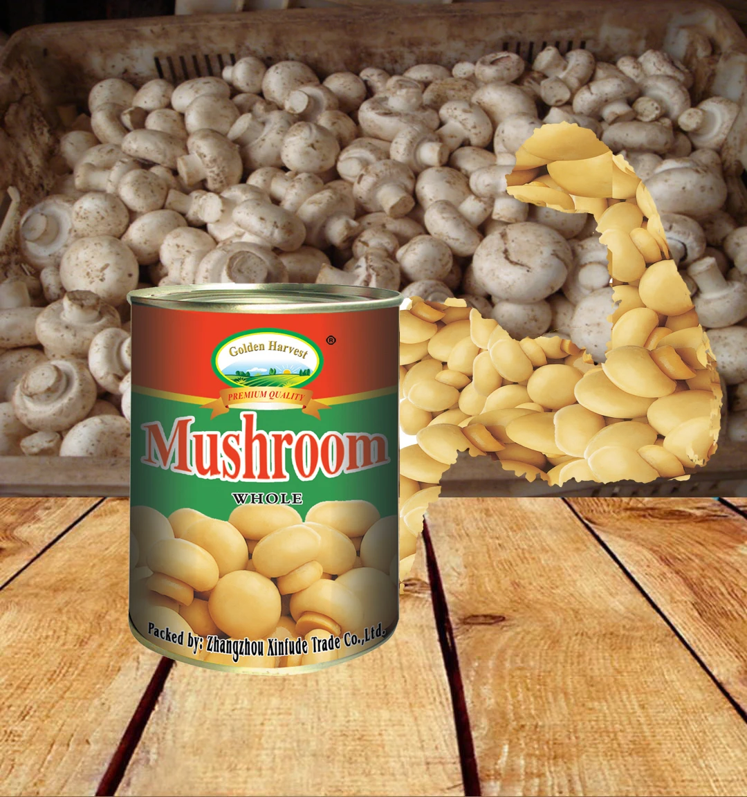 
Customize Chinese Canned mushroom Whole ,Canned Mushroom PNS 