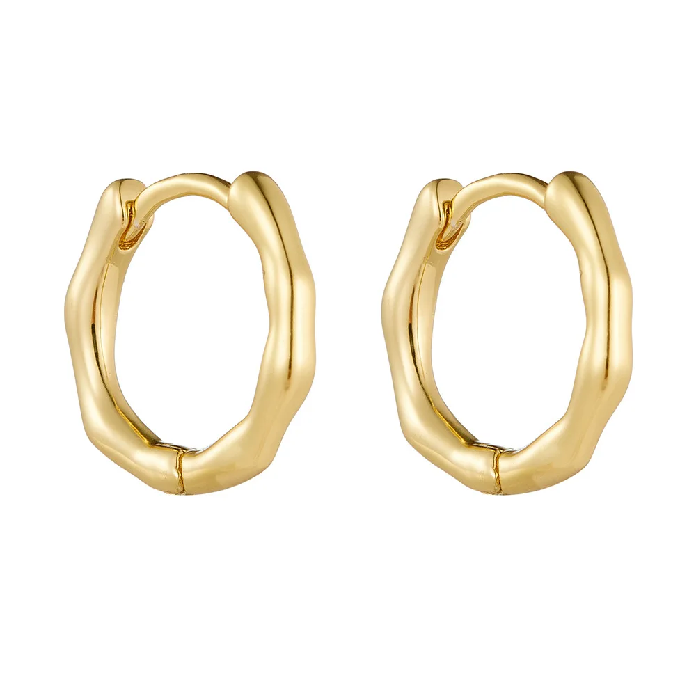 Minimalist 18k gold S925 sterling silver irregular earrings Ins jewelry earrings