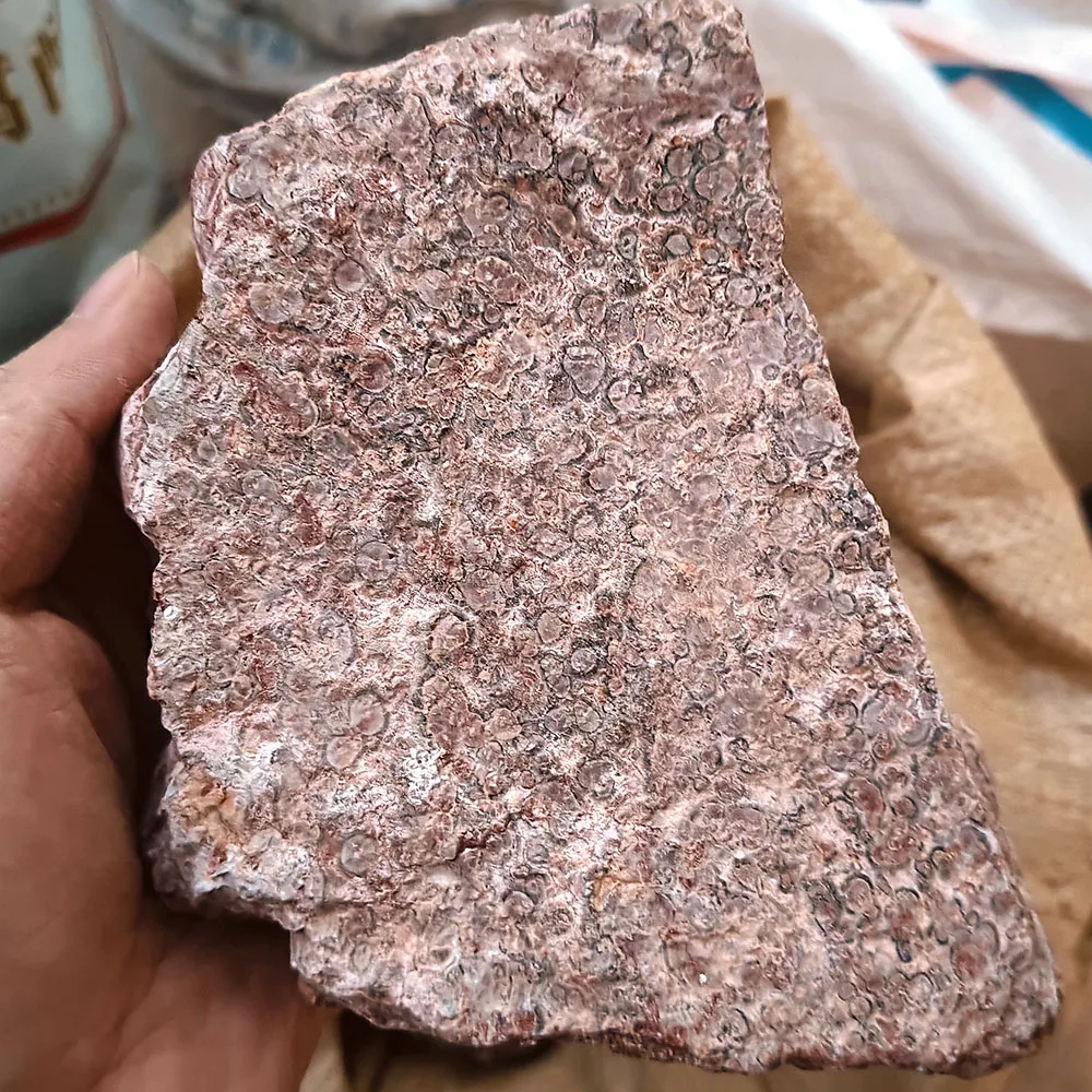 Natural high quality raw stone wholesale rough leopard stone use for products processing