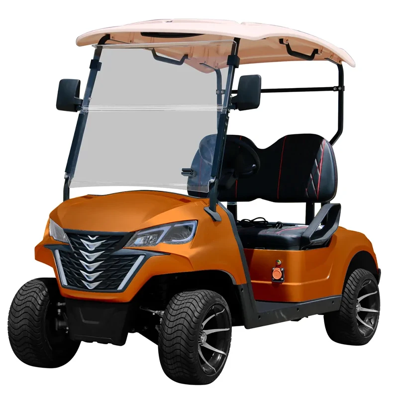 New Model 2 Seater Electric Golf Car Global Sale Lifted Golf Car