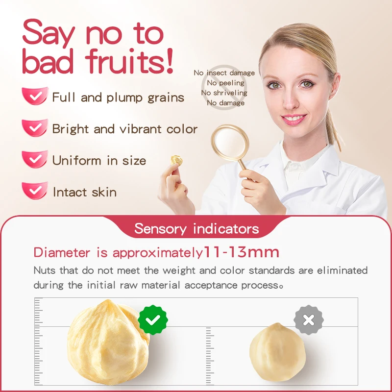 Hot sale Irresistible Snack Mix Experience a Flavorful Journey with dry fruits Almond dry dates Handpicked Nuts and Cashew Nuts